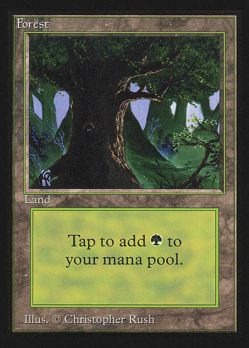 Forest 302