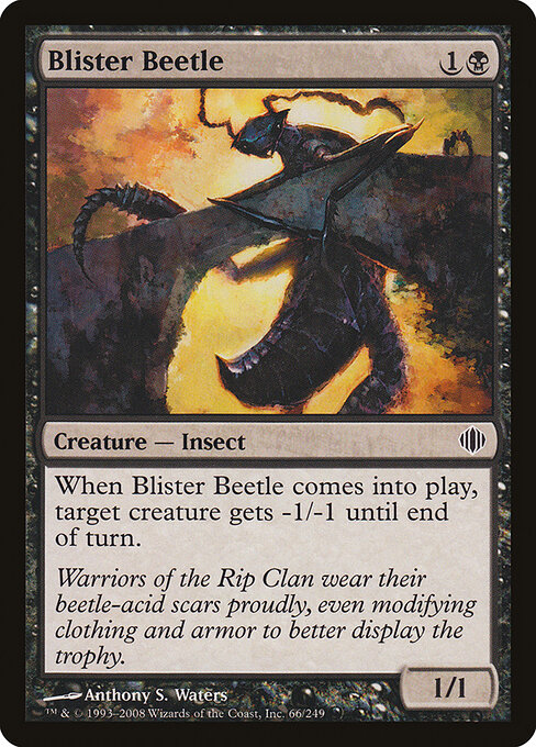 Blister Beetle 66