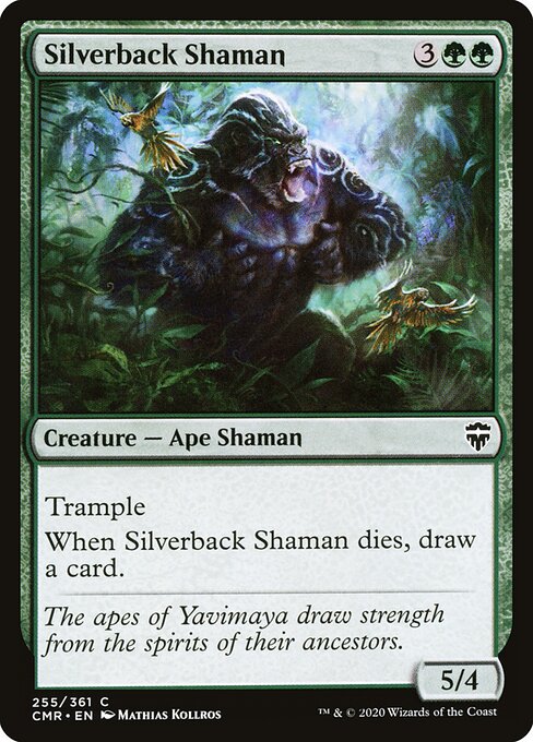 Silverback Shaman 255