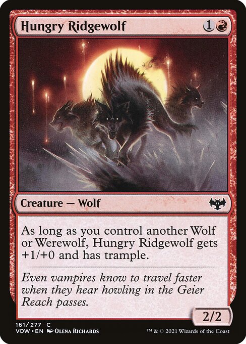 Hungry Ridgewolf 161