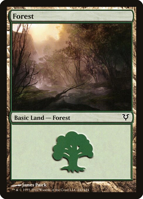 Forest 242