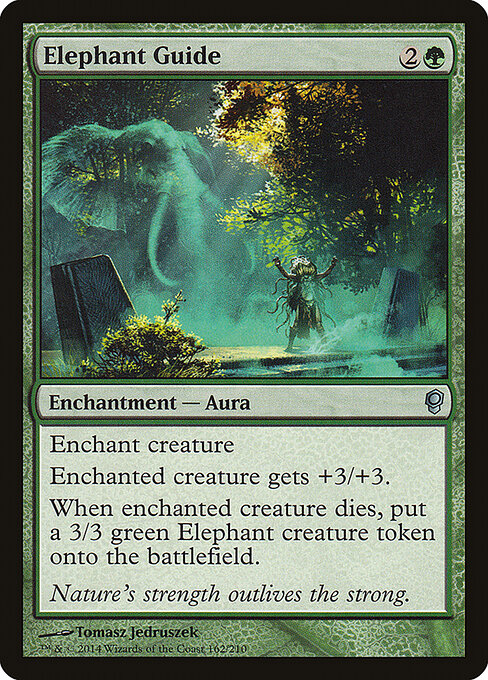 Elephant Guide 162