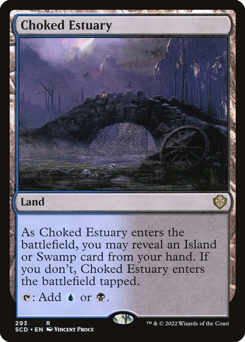 Choked Estuary 293