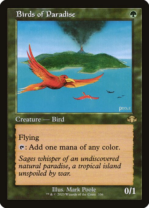 Birds of Paradise 336