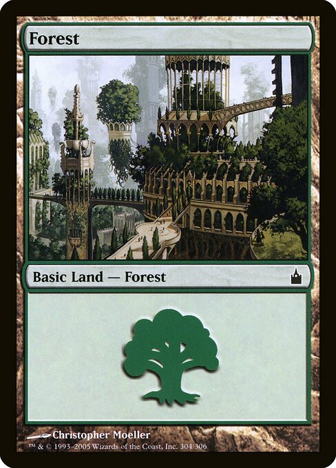 Forest 304