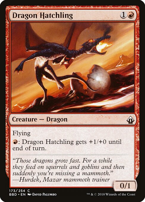 Dragon Hatchling 173