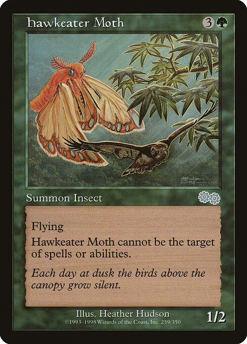 Hawkeater Moth 259