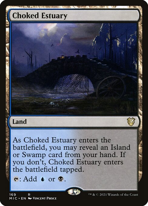 Choked Estuary 169