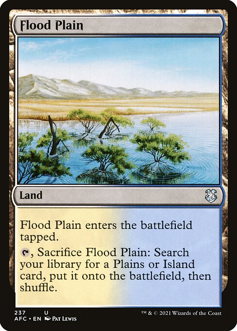 Flood Plain 237
