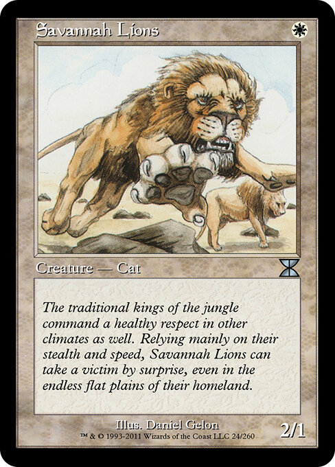 Savannah Lions 24