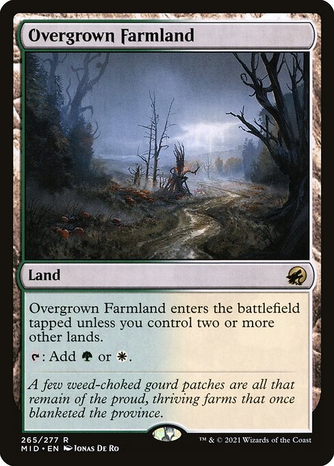 Overgrown Farmland 265