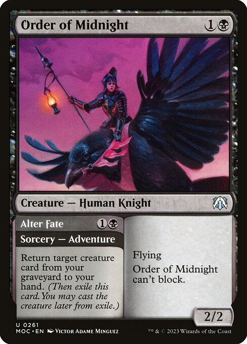 Order of Midnight // Alter Fate 261