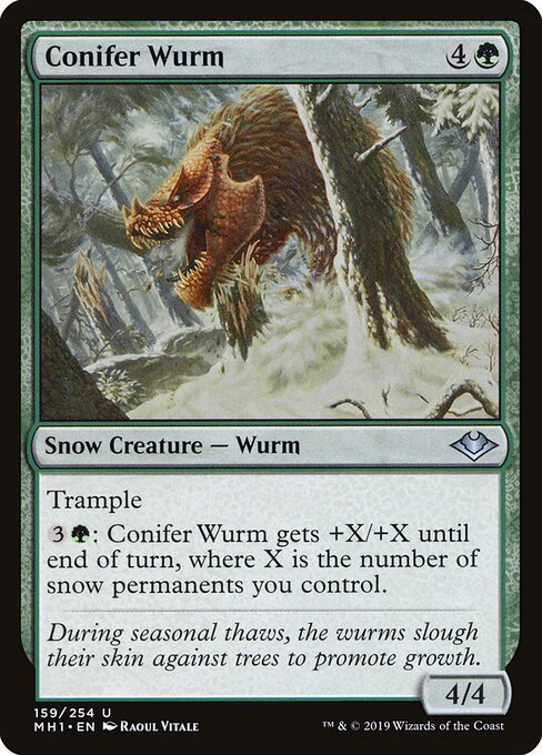 Conifer Wurm 159