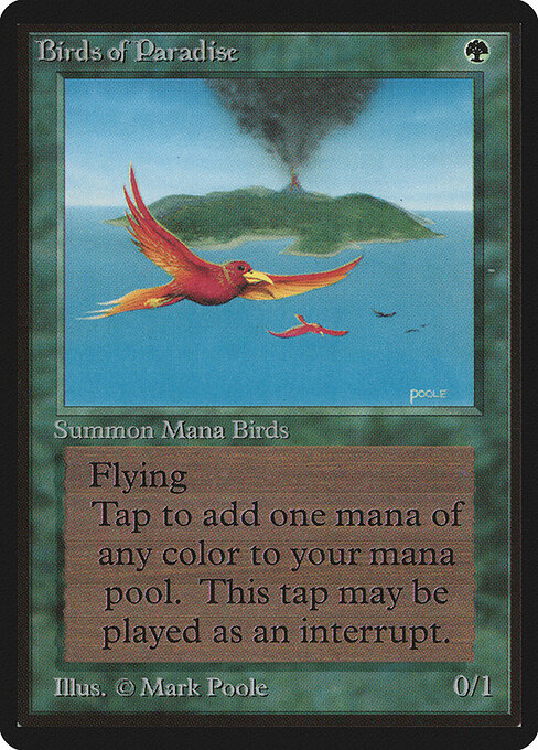 Birds of Paradise 187