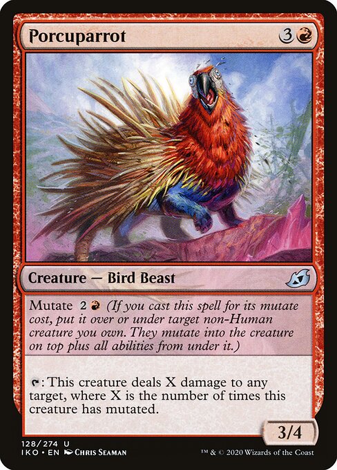 Porcuparrot 128