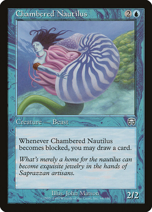 Chambered Nautilus 64