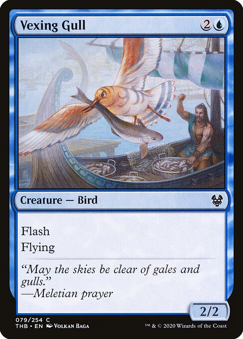 Vexing Gull 79