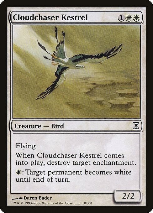 Cloudchaser Kestrel 10