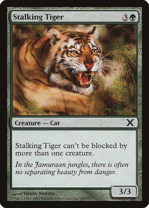 Stalking Tiger 299