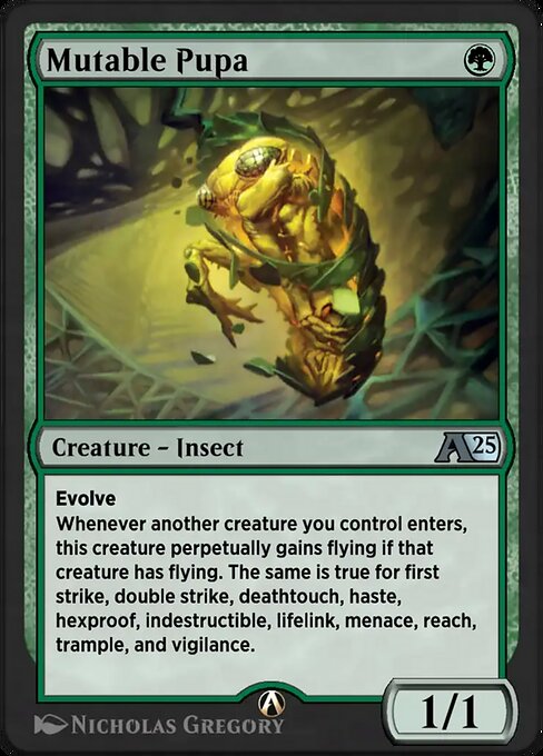Mutable Pupa 20