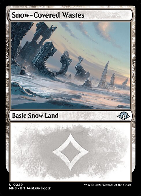 Snow-Covered Wastes 229