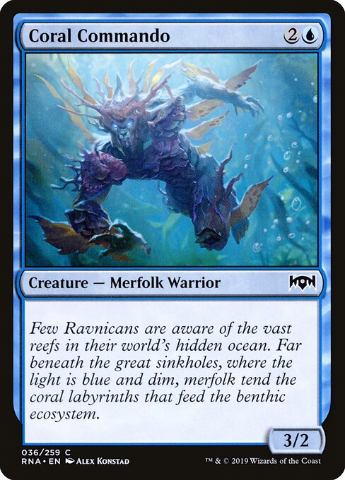 Coral Commando 36