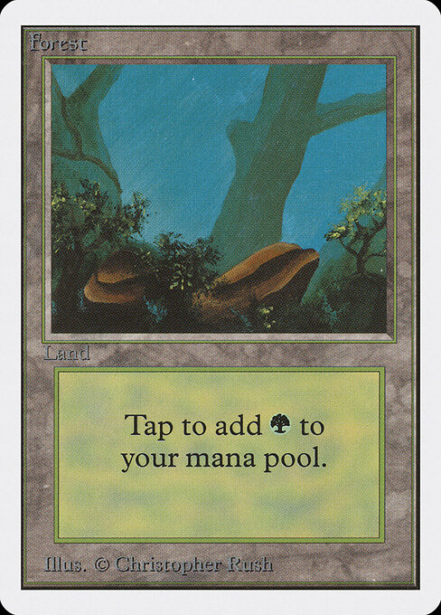 Forest 300