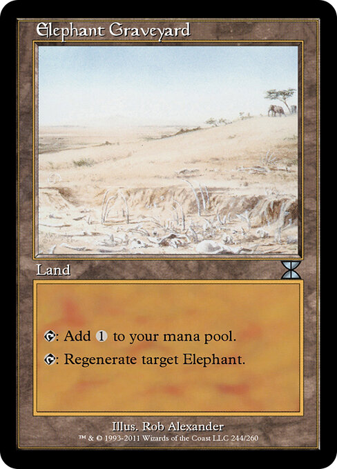 Elephant Graveyard 244