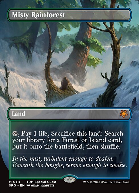 Misty Rainforest 111