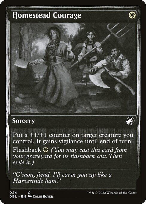 Homestead Courage 24