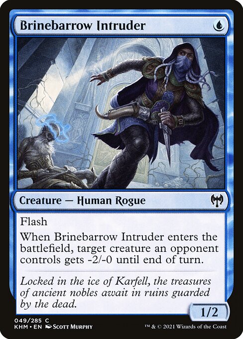 Brinebarrow Intruder 49