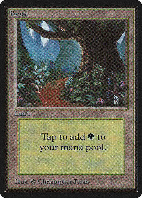 Forest 301
