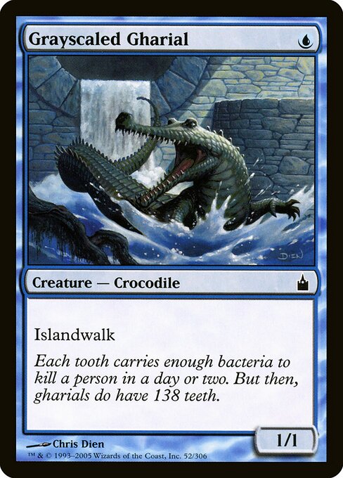 Grayscaled Gharial 52
