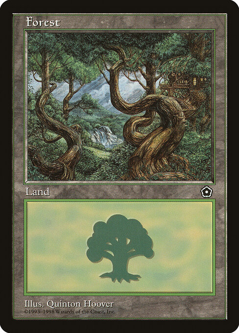 Forest 163