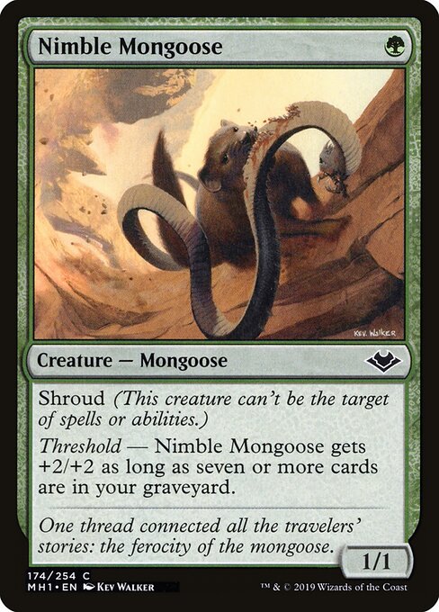 Nimble Mongoose 174