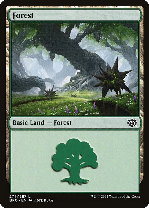 Forest 277