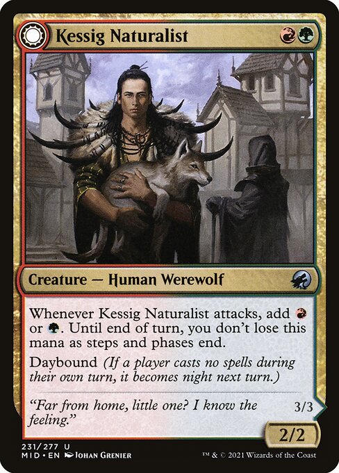 Kessig Naturalist // Lord of the Ulvenwald 231