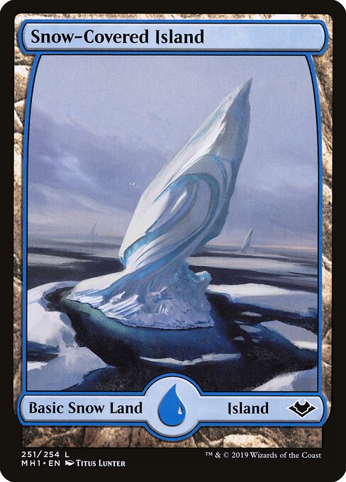 Snow-Covered Island 251