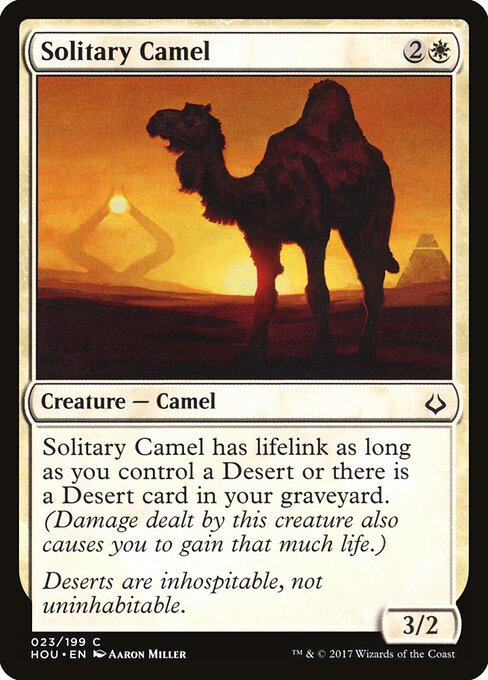 Solitary Camel 23