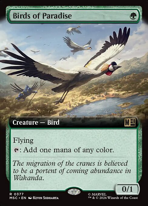 Birds of Paradise 377