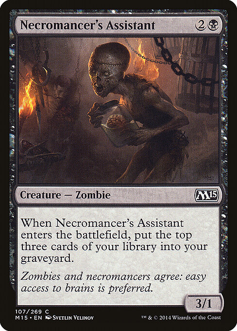 Necromancer's Assistant 107