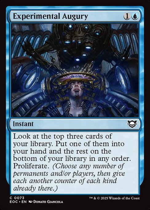 Experimental Augury 73