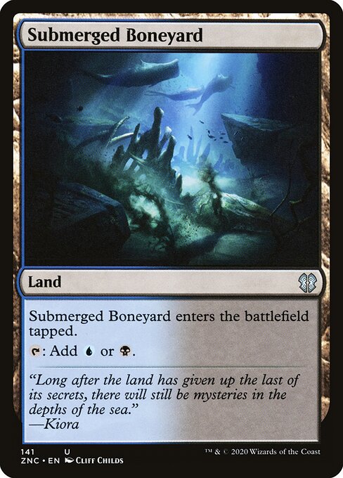 Submerged Boneyard 141