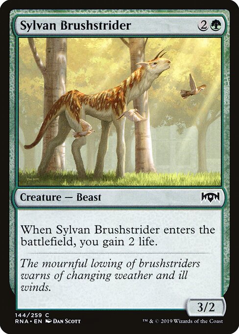 Sylvan Brushstrider 144