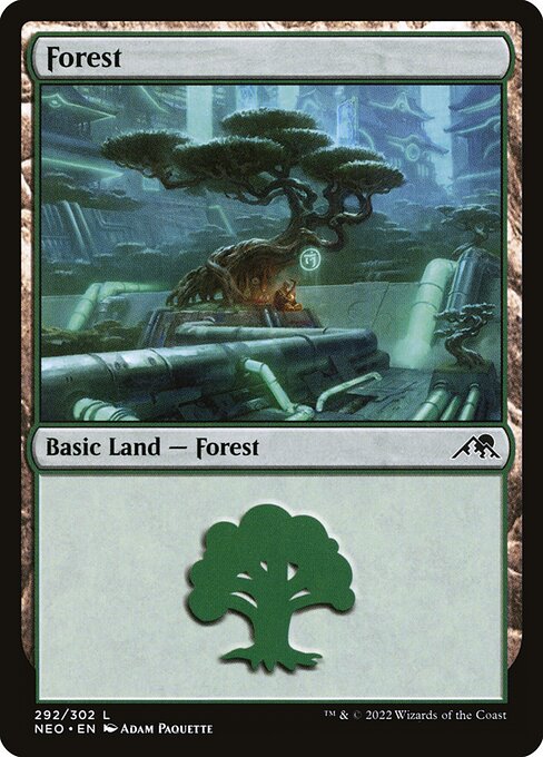 Forest 292