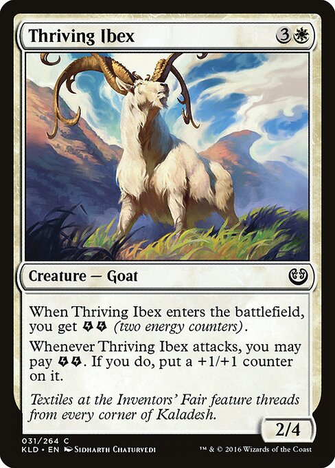 Thriving Ibex 31