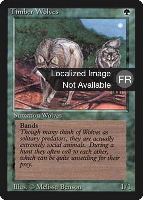 Timber Wolves 219