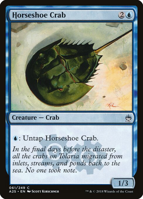 Horseshoe Crab 61