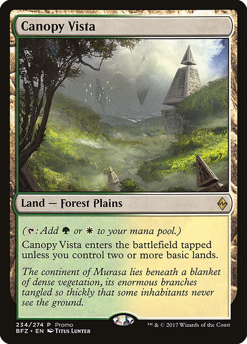 Canopy Vista 234