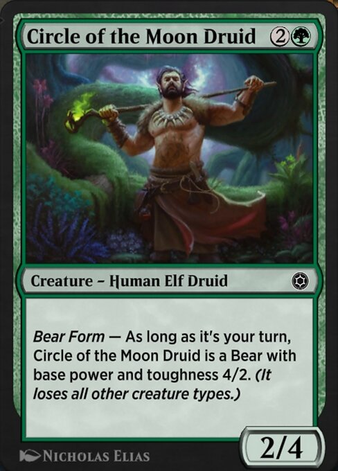 Circle of the Moon Druid 204